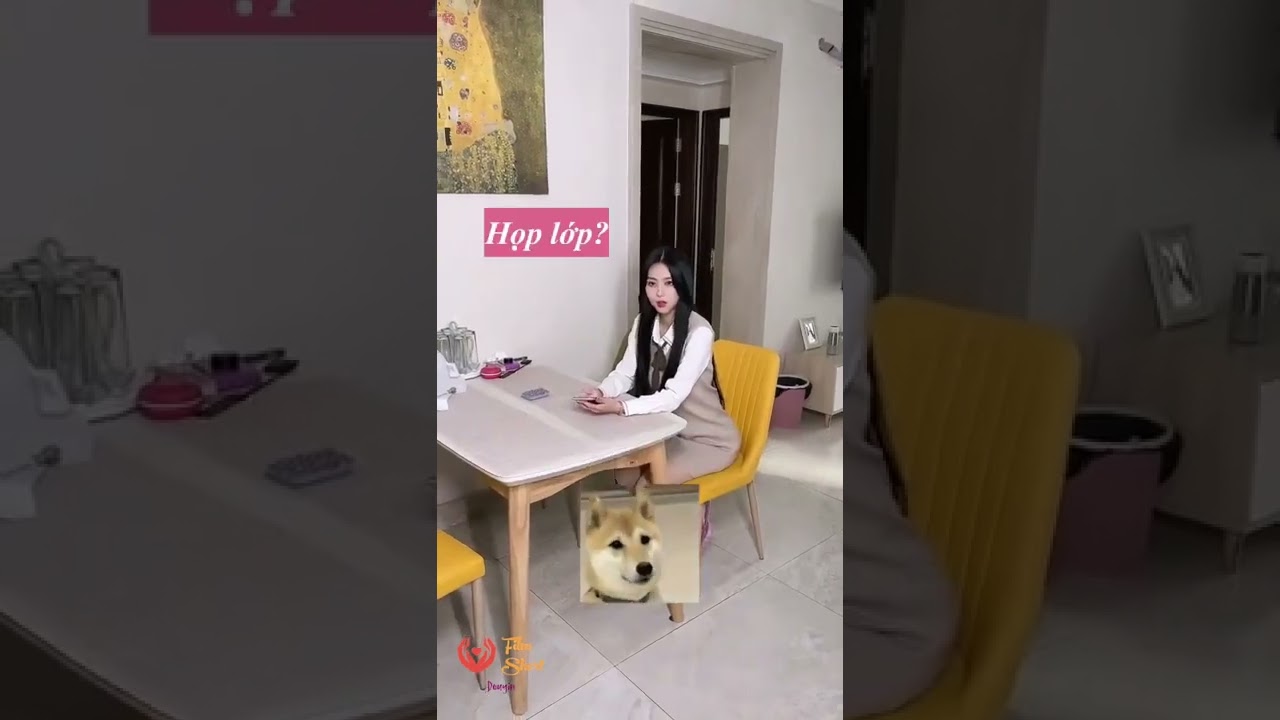 Video Image
