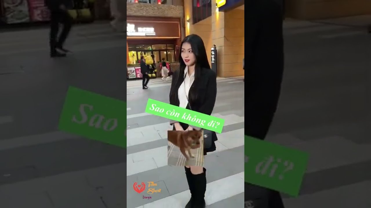 Video Image