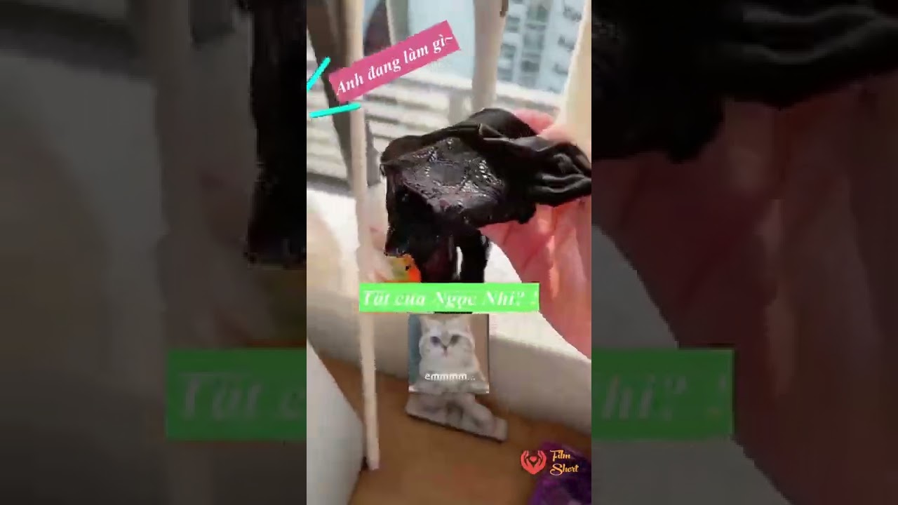 Video Image