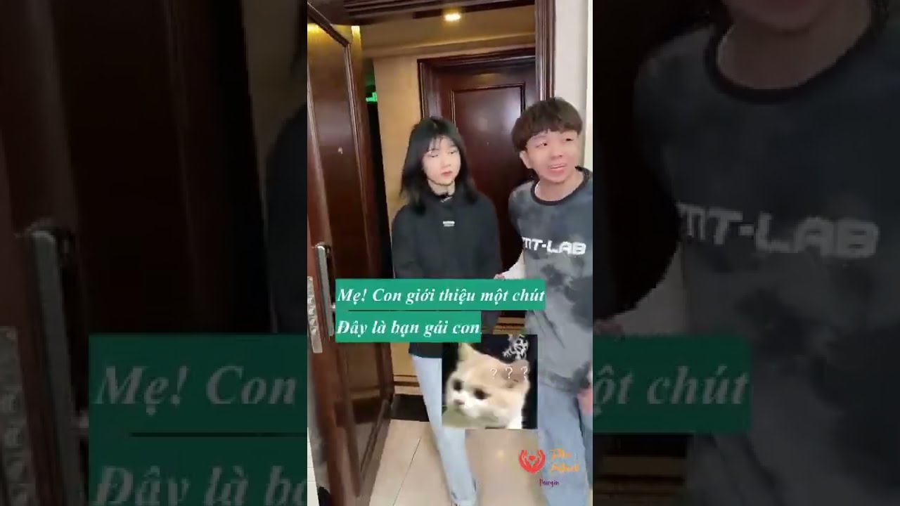 Video Image