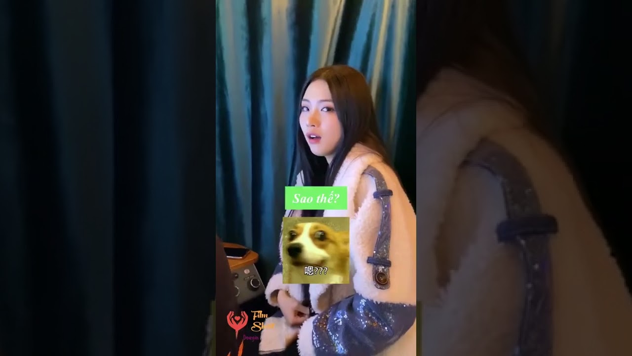 Video Image