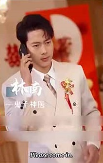 Video Image