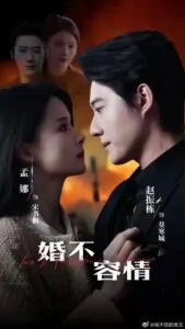 Hôn Nhân Không Tình Yêu