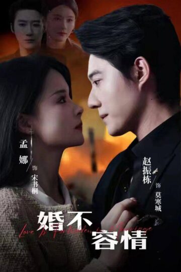Poster-HonNhanKhongTinhYeu