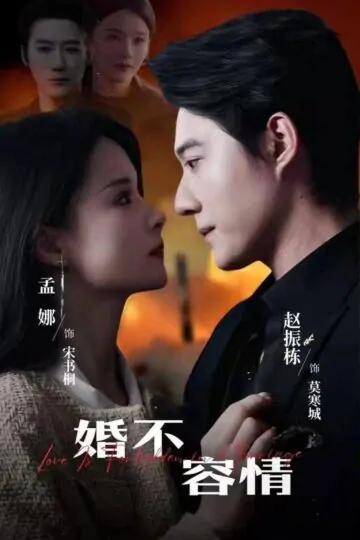 Poster-HonNhanKhongTinhYeu