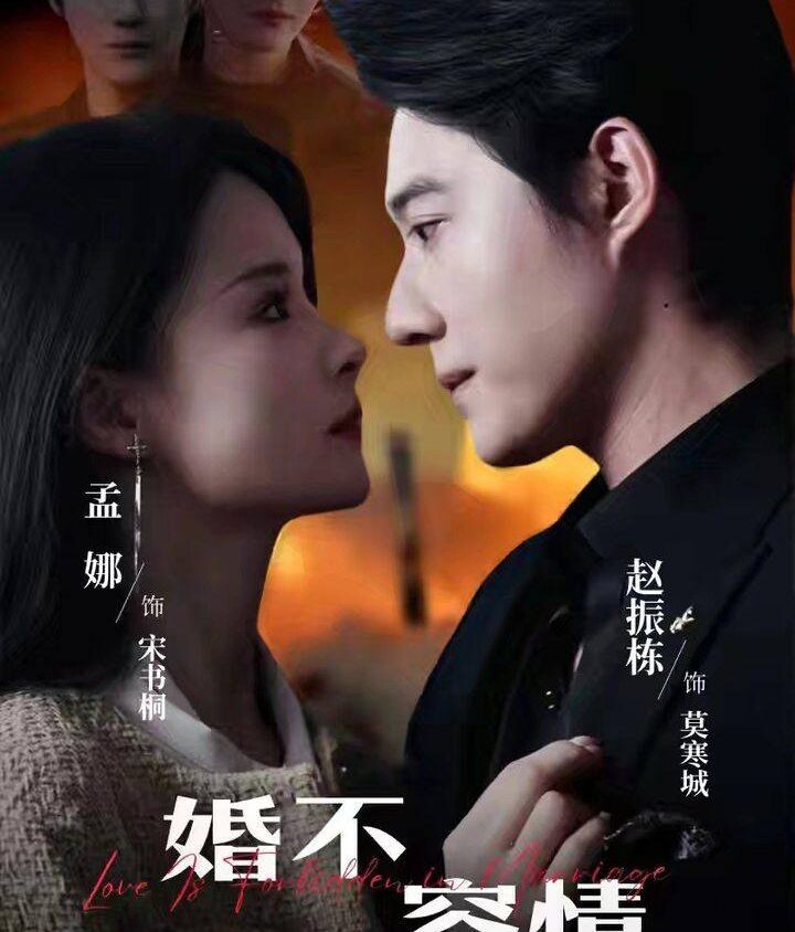 Video Image