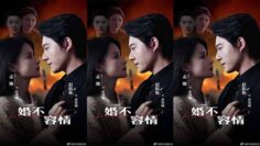 HonNhanKhongTinhYeu