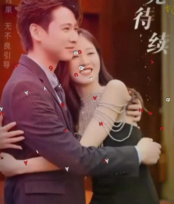 Video Image