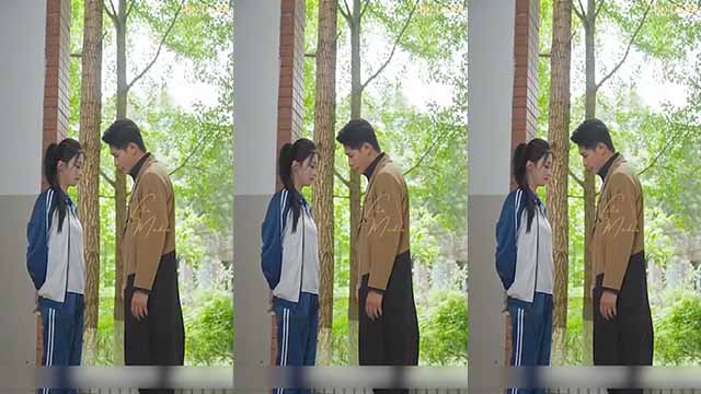 Video Image