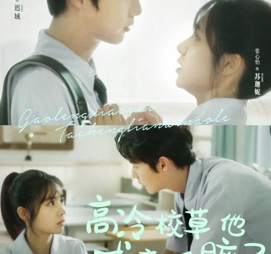 Video Image