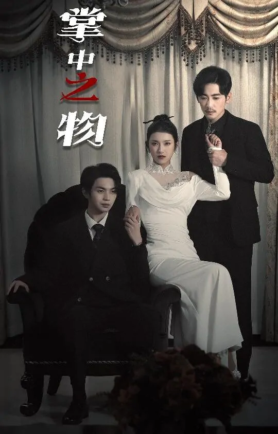 Video Image