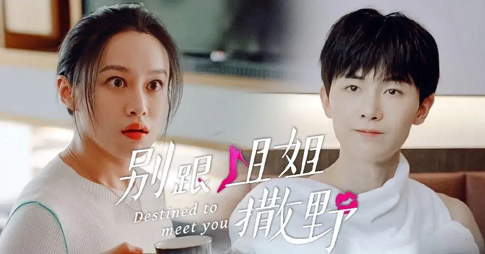 Video Image