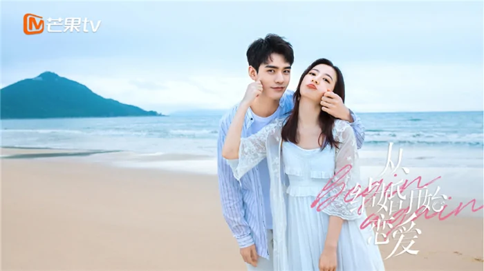 Video Image