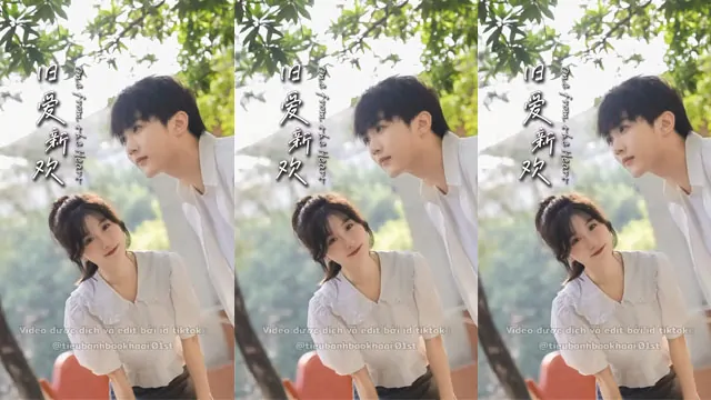 Video Image