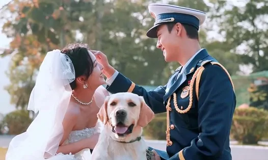 Video Image
