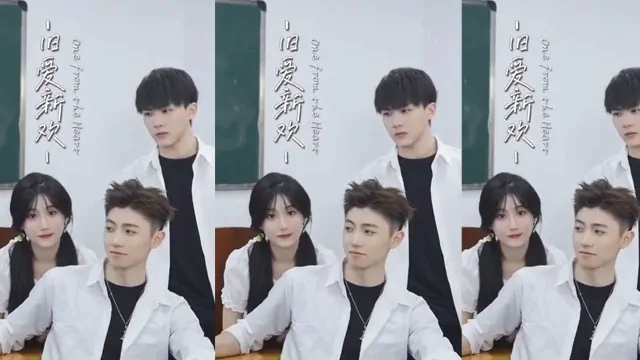 Video Image