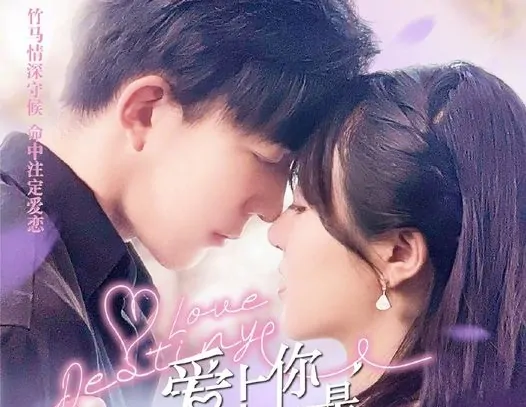 Video Image
