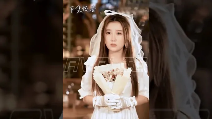 Video Image