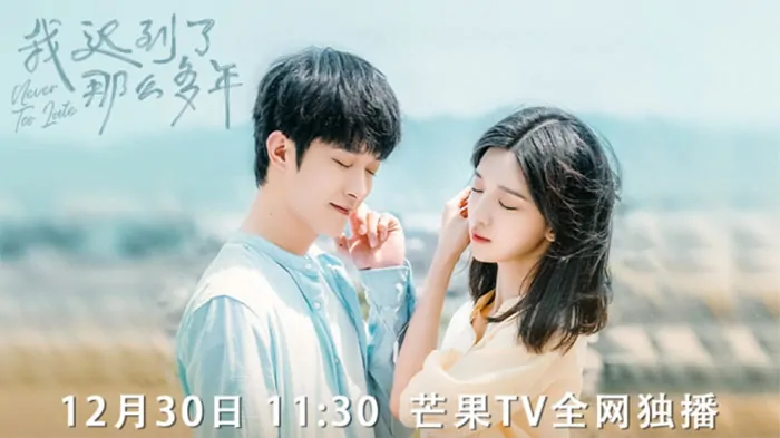 Video Image