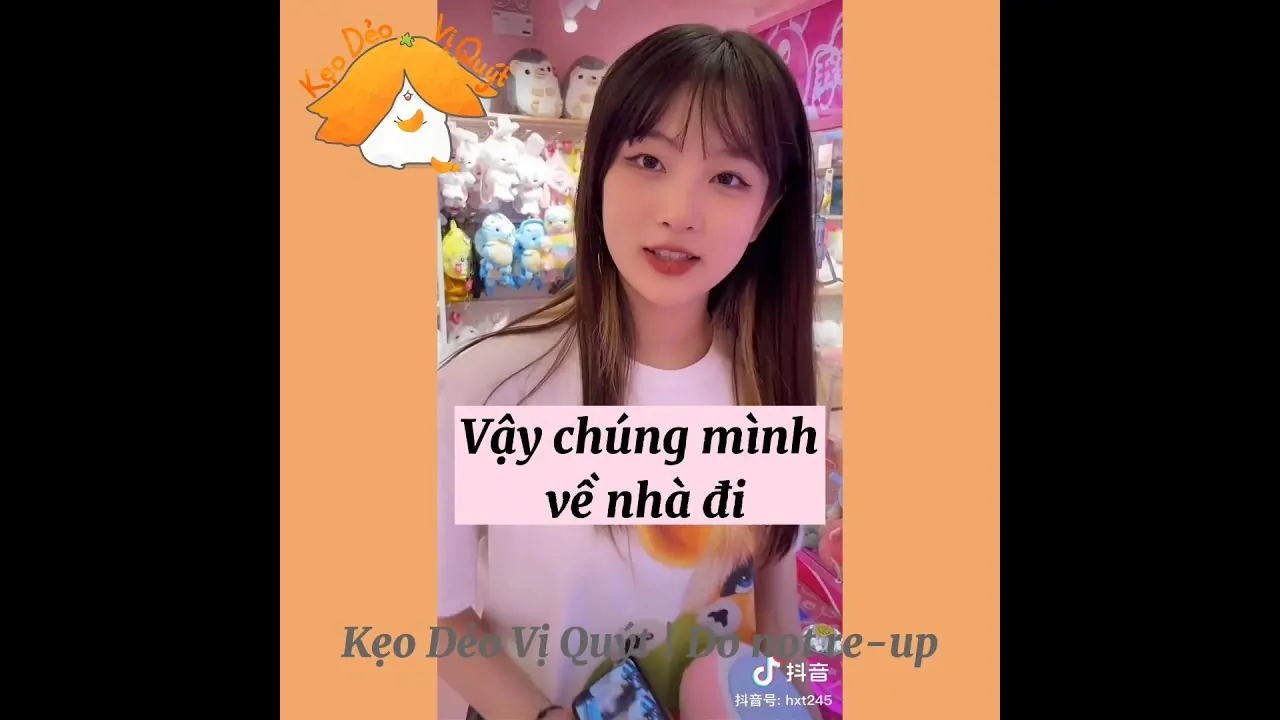 Video Image