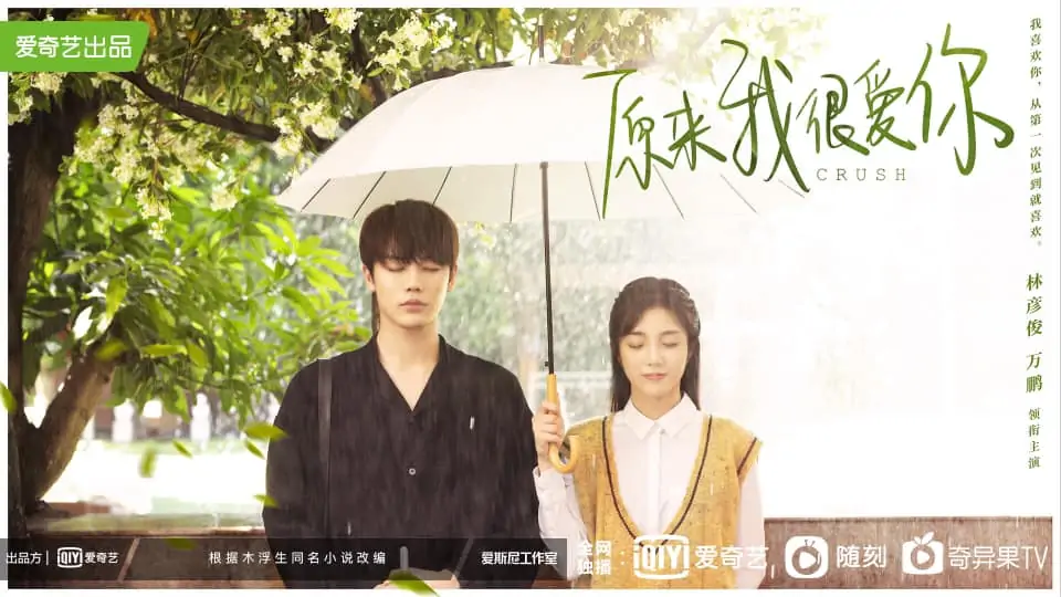 Video Image