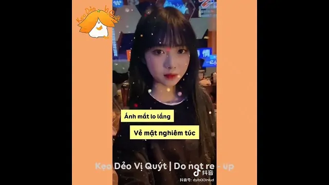 Video Image