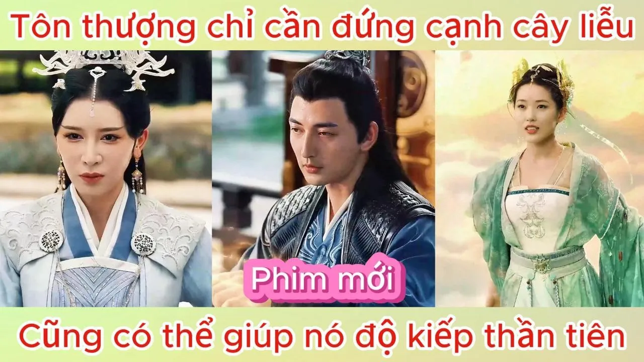 Video Image
