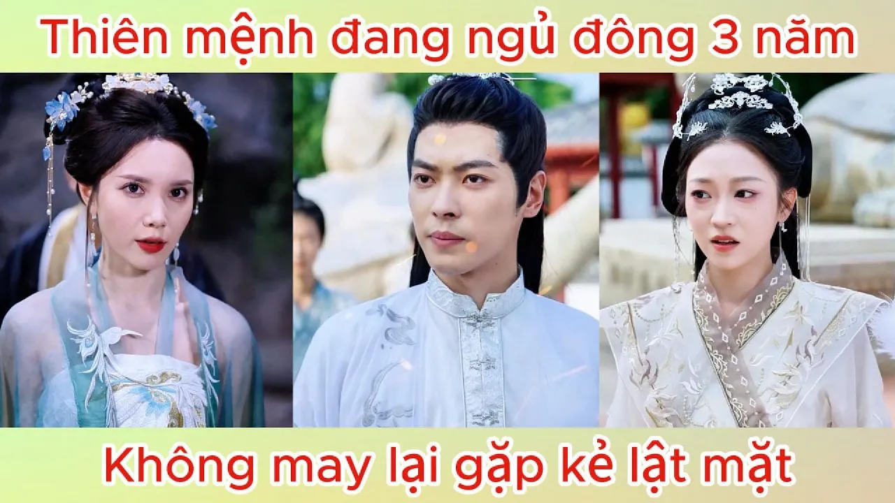 Video Image