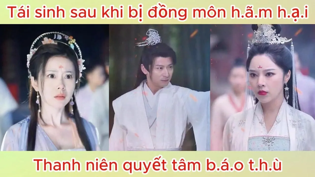 Video Image