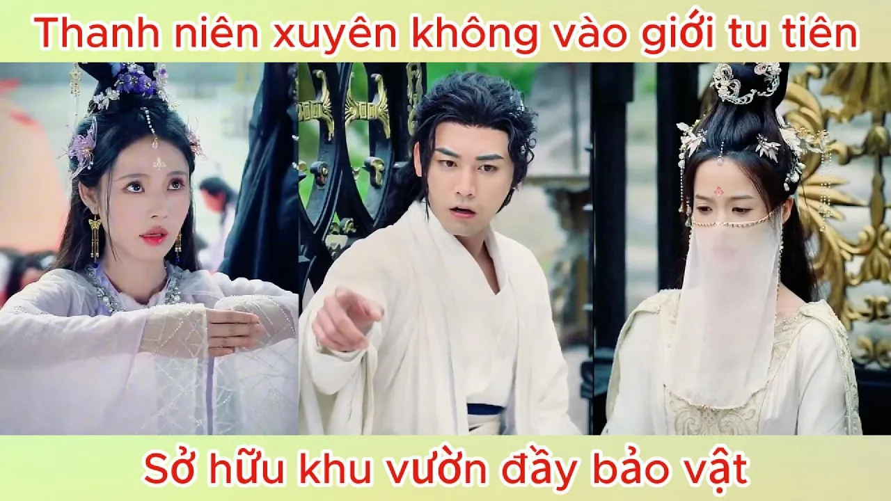 Video Image