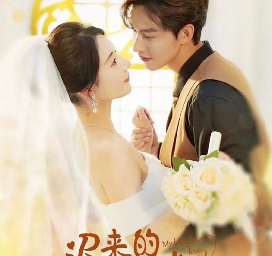 Video Image