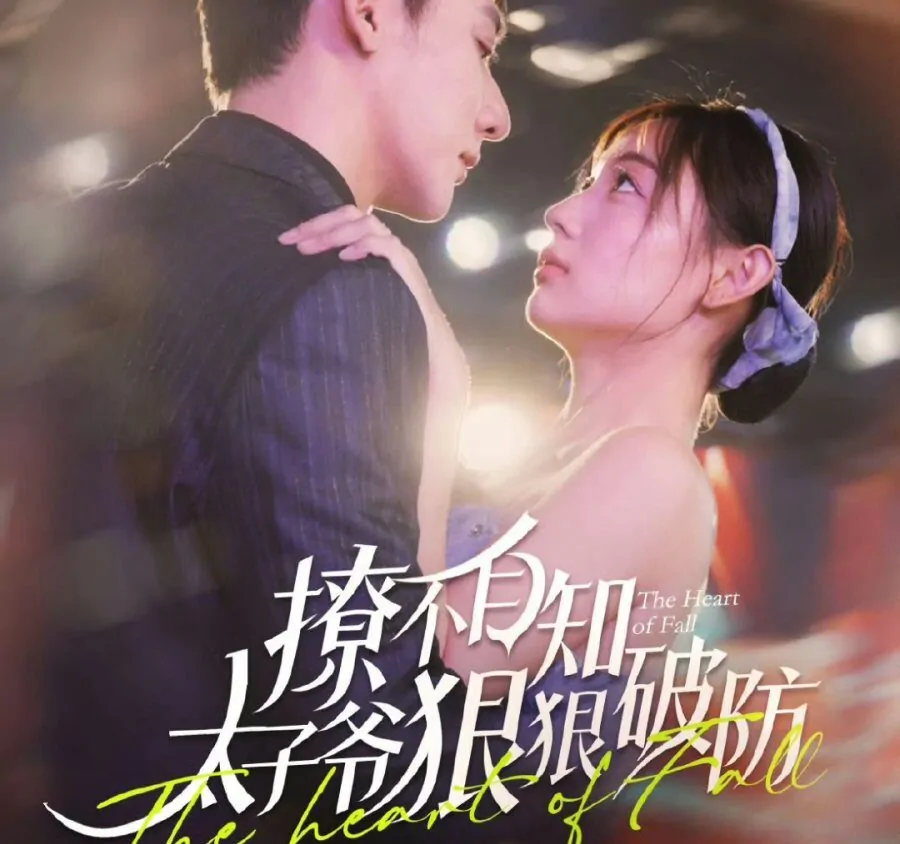 Video Image