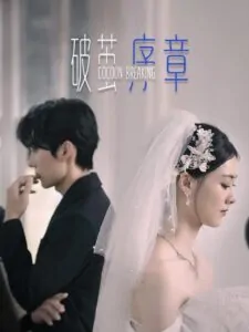 Phá Vỡ Kén