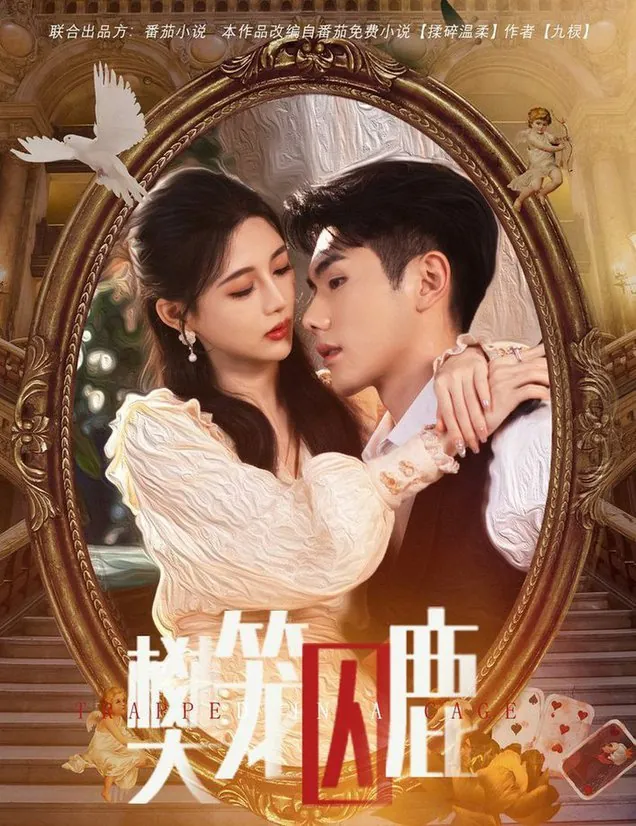 Video Image