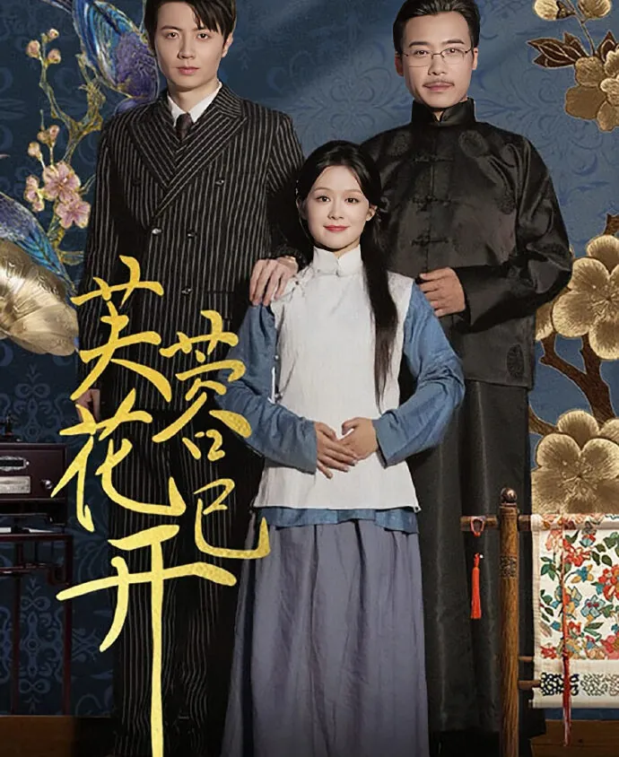 Video Image