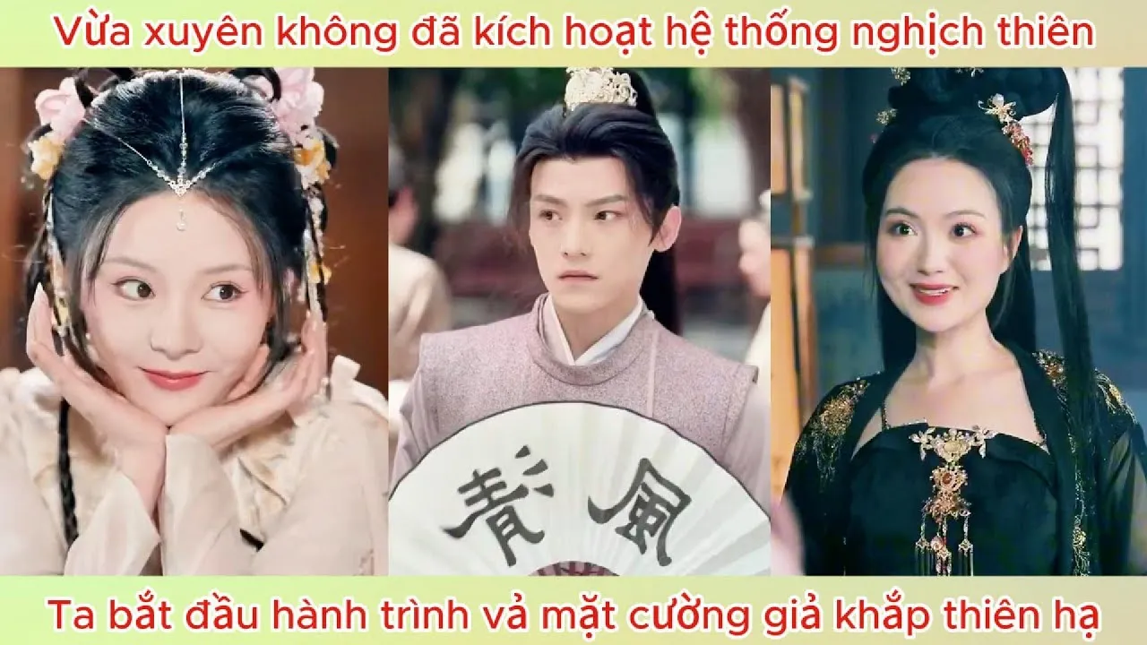 Video Image