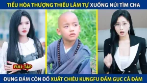 Tiểu Hòa Thượng Thiếu Lâm Tự Xuống Núi Tìm Cha! Đụng Đám Côn Đồ Xuất Chiêu Kungfu Đấm Gục Cả Đám