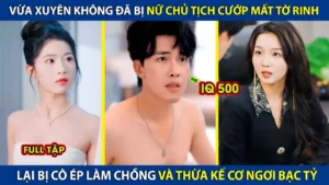 Vừa Xuyên Không Đã Bị Nữ Chủ Tịch Cướp Mất Tờ Rinh Lại Bị Cô Ép Làm Chồng Và Thừa Kế Cơ Ngơi Bạc Tỷ