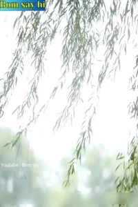 Sau Ly Hôn Chồng Cũ Hào Môn Hoàn Toàn Mất Kiểm Soát