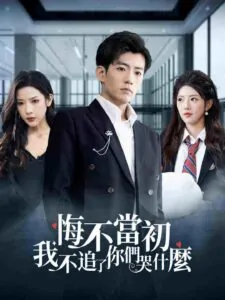 Anh Hối Hận Đã Không Theo Đuổi Em Nữa Sao Em Lại Khóc