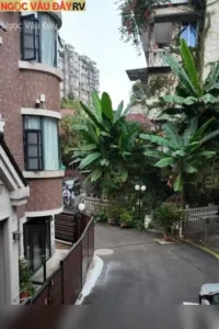 Anh Trai Lạnh Lùng Kiêu Ngạo Em Gái Ngọt Ngào Hoạt Bát