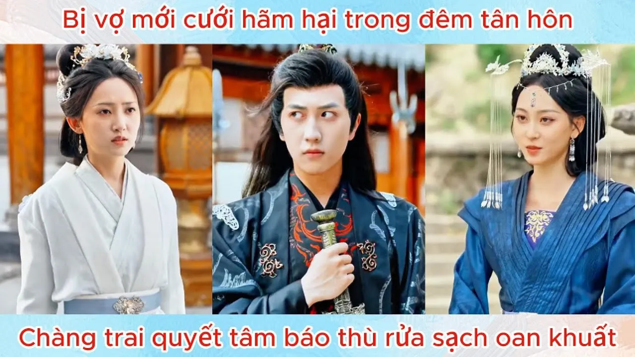 Video Image