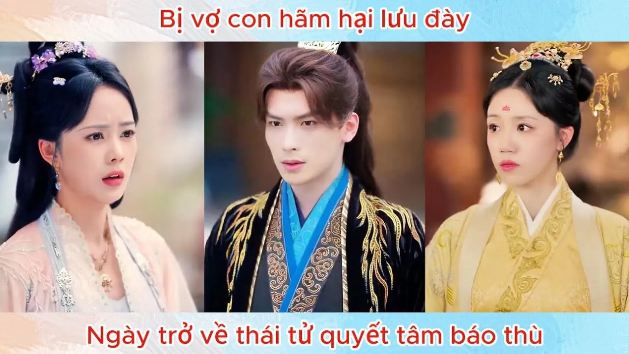 Video Image