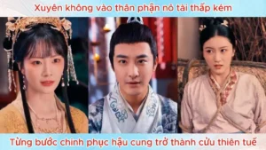 Xuyên Không Vào Thân Phận Nô Tài Thấp Kém Từng Bước Chinh Phục Hậu Cung Trở Thành Cửu Thiên Tuế