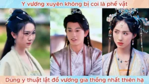 Y Vương Xuyên Không Bị Coi Là Phế Vật Dùng Y Thuật Lật Đổ Vương Gia Thống Nhất Thiên Hạ