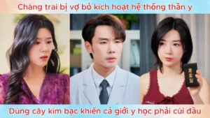 Chàng trai bị vợ bỏ kích hoạt hệ thống thần y dùng cây kim bạc khiến cả giới y học phải cúi đầu