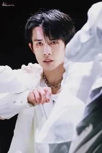 Dịch Dương Thiên Tỉ