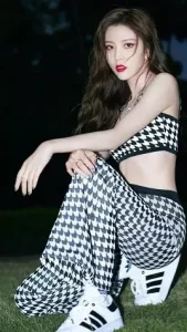 Tống Nghiên Phi